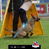 IMG_9381 (2)